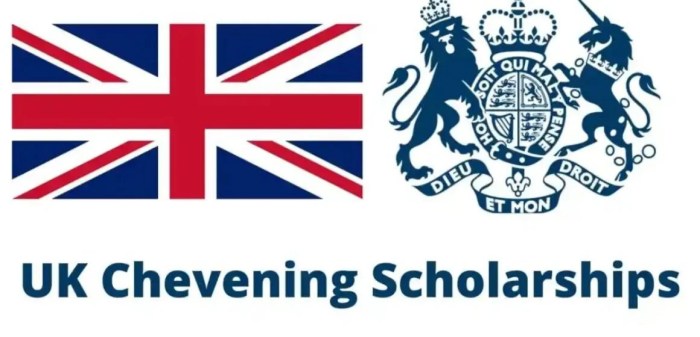 Chevening scholarship buyuk uchun brandsynario qish kenya scholarships uz outstanding individuals enables globe pursue grenadines