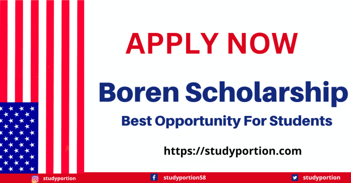 Boren scholarship