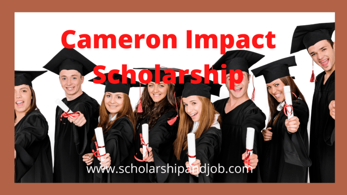 Cameron impact scholarship