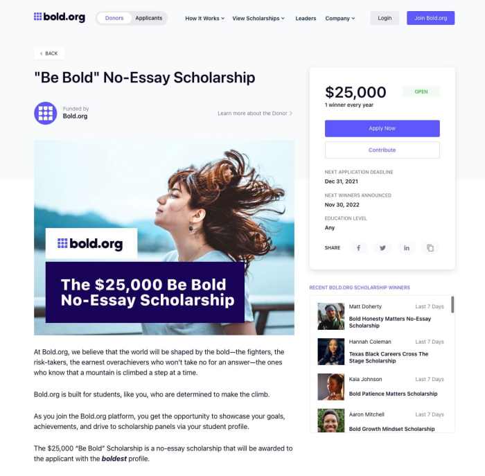 Be bold scholarship