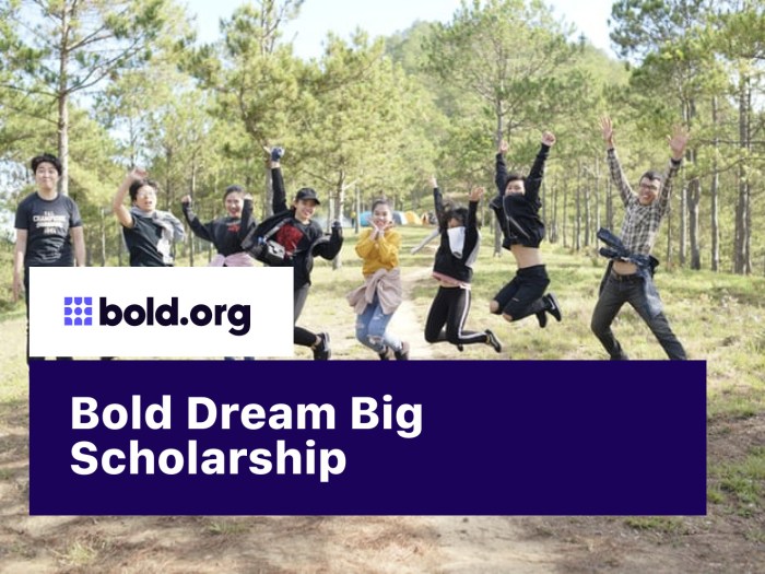 Be bold scholarship