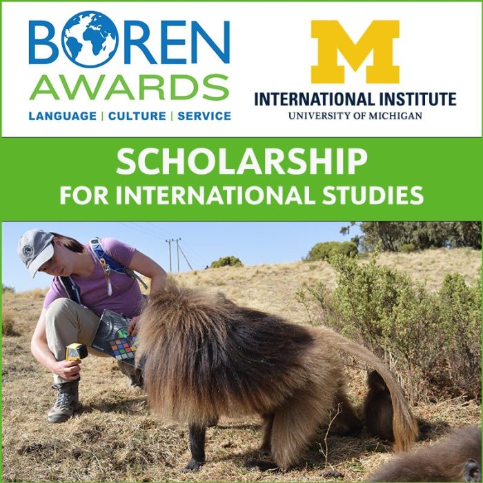 Boren scholarship